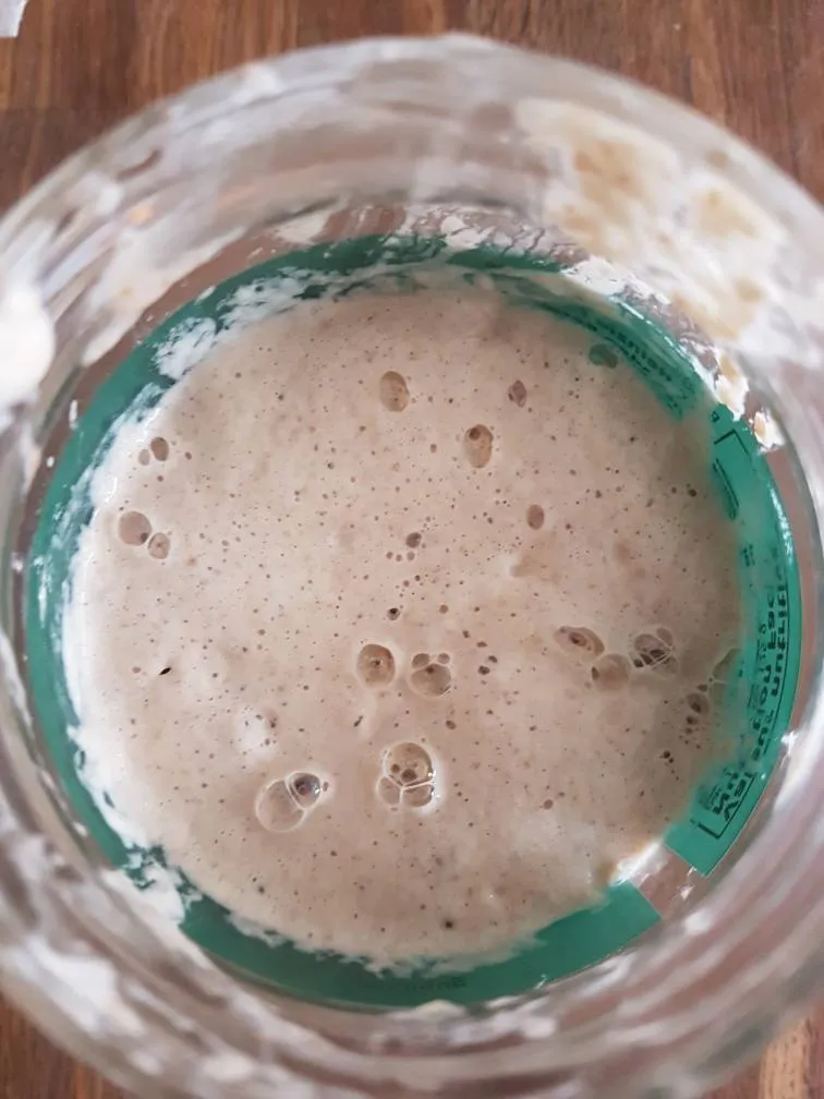 Sourdough Starter (Annex) photo 1