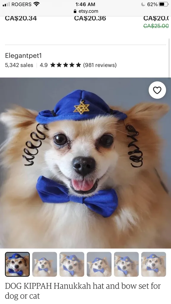 ISO Jewish Cat Toy or Costume photo 1