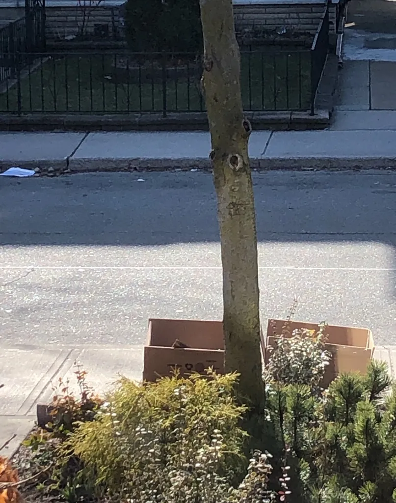 Curb Alert 125 Grace St photo 1