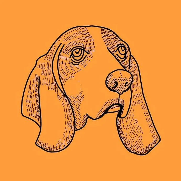 ISO Bristol board! photo 1