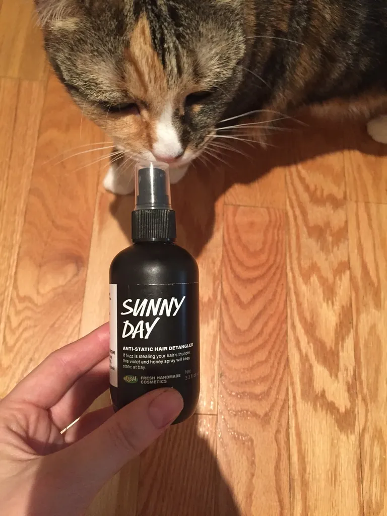 Lush Sunny Day Hair Spray photo 1