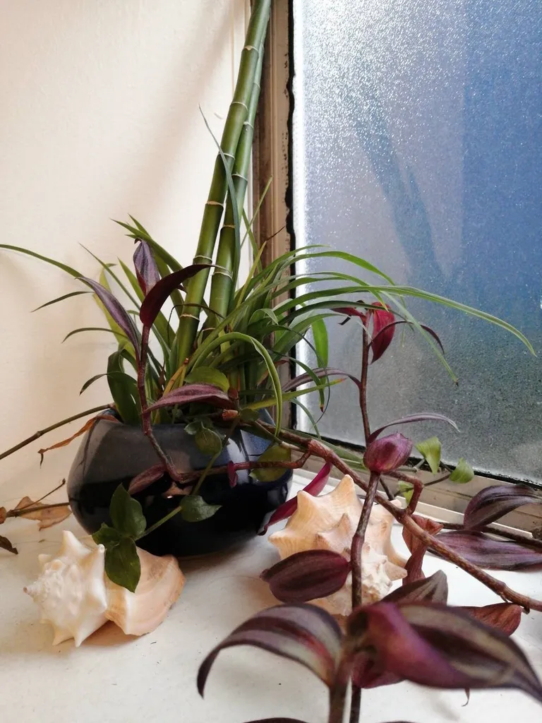 Plant Babies! photo 1