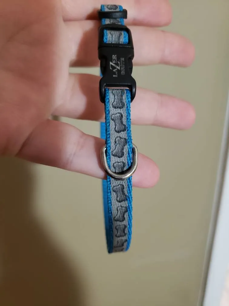 Small Dog Collar photo 1