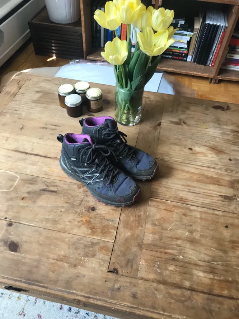 North Face Hiking Boots photo 1