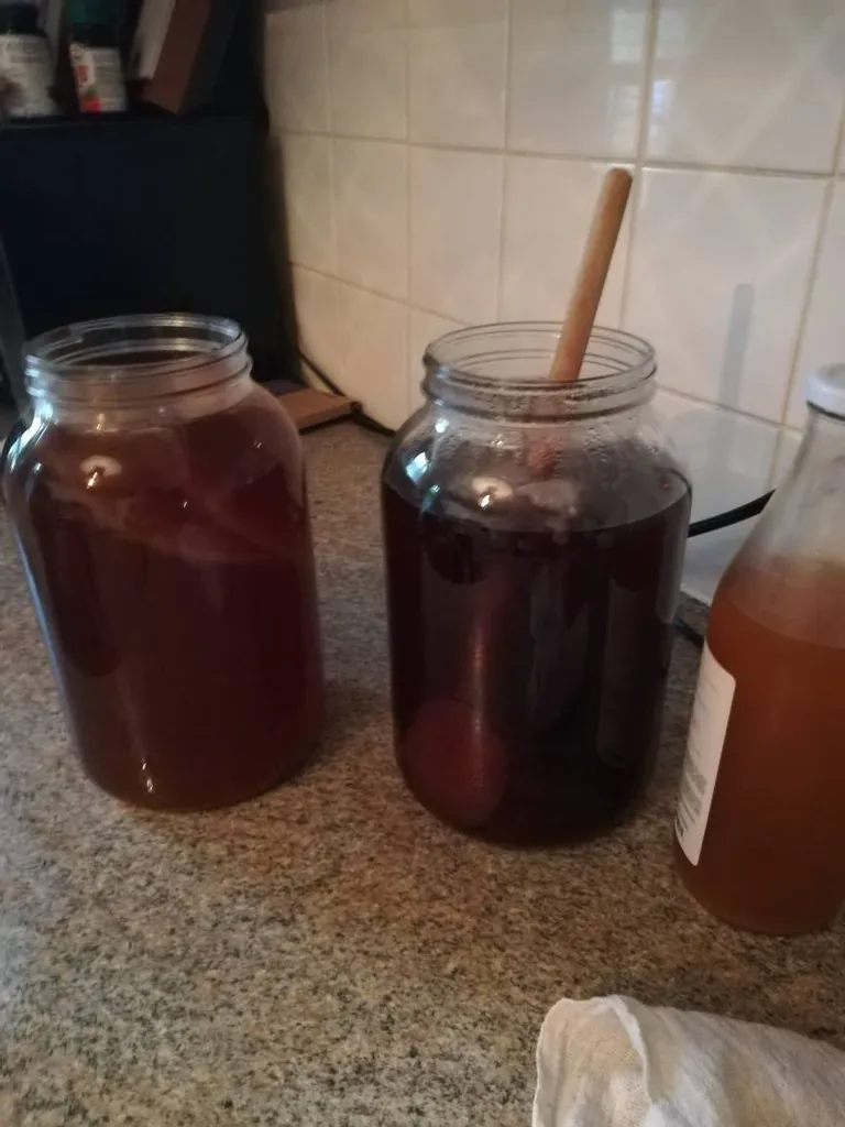 Scooby Dooby Doo photo 1