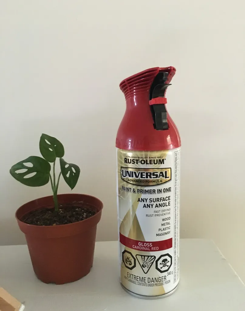 Red Spray Paint photo 1