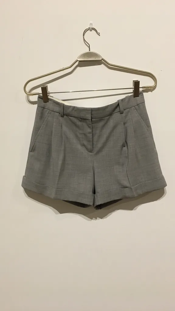 Aritzia Babaton Pleated Shorts photo 1