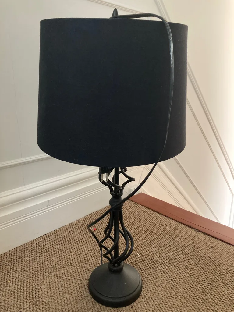 Lonely lamp looking for new home photo 1