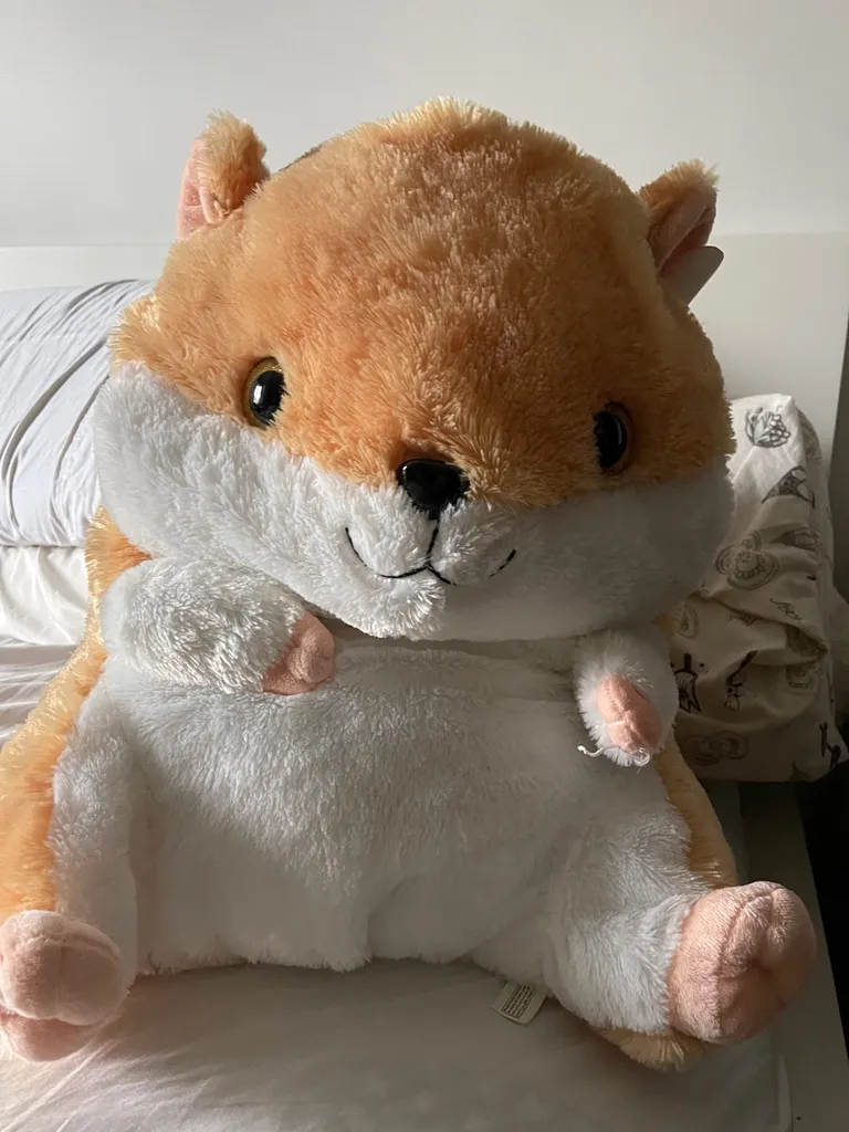 Giant Plush Hamster From The Fair photo 1
