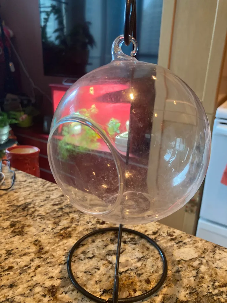 Airplant Home photo 1