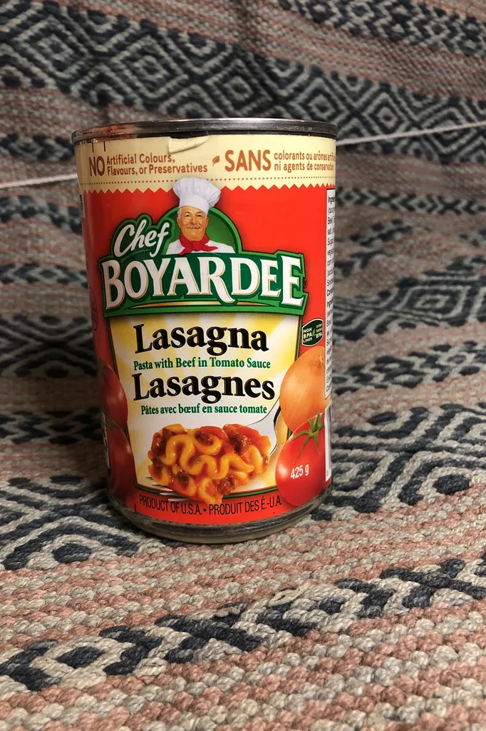 Canned Lasagna photo 1