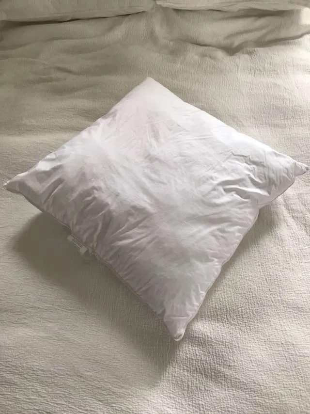 2 Big Euro Pillows photo 1