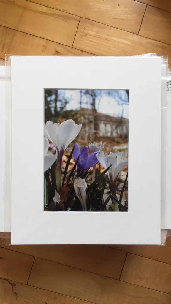 Photograph Of An Abandoned Hospital, Staten Island, USA photo 1