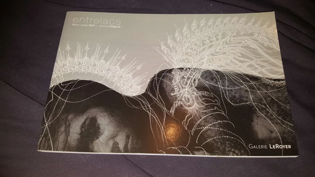 Entrelacs Art Book By Galerie LeRoyer -- Great for Coffee Tab... photo 1