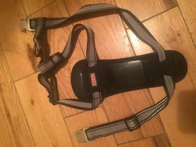Kong Harness photo 1
