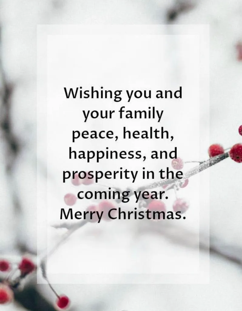 Merry Christmas All The People On BUNZ photo 1