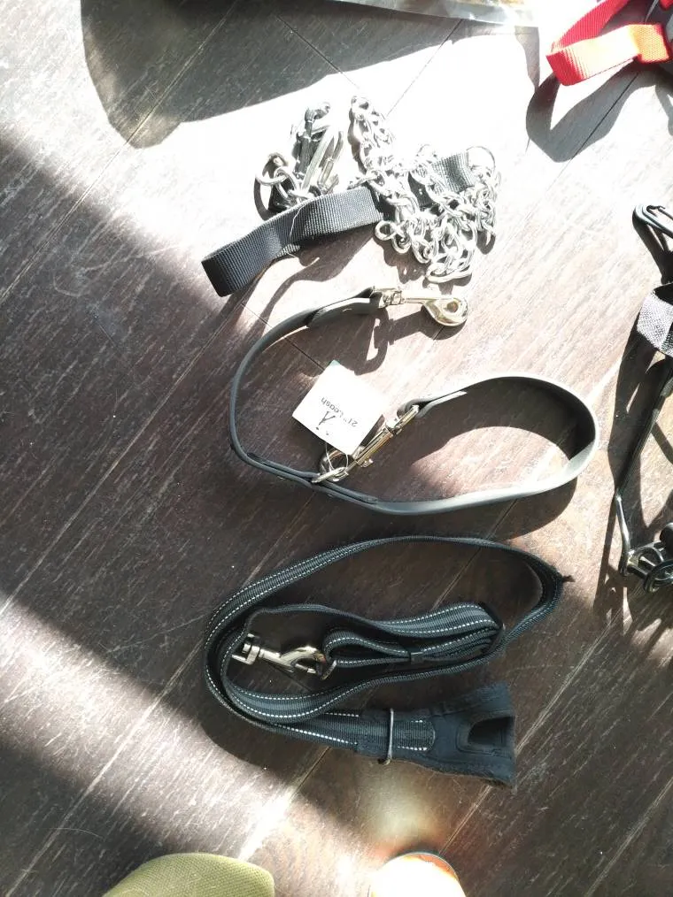 Dog Leads And Leashes photo 1