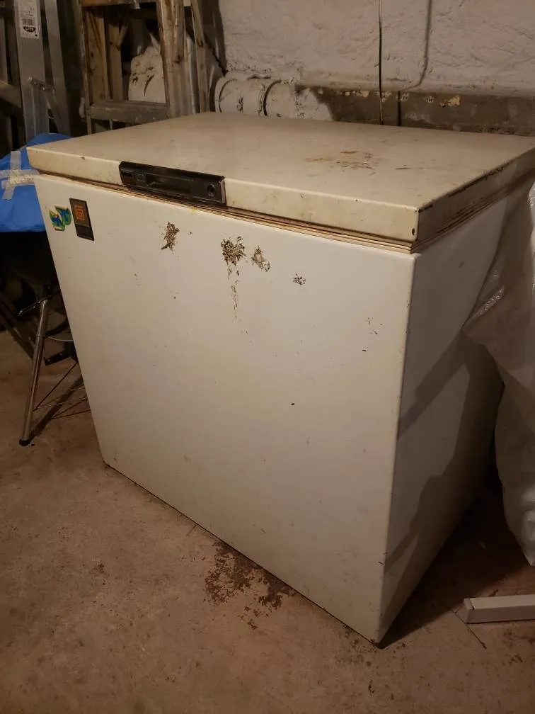 Chest Freezer photo 1