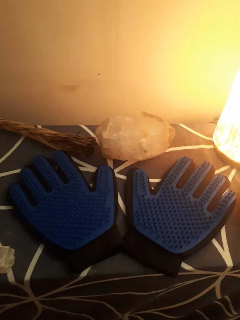 Grooming Gloves photo 1