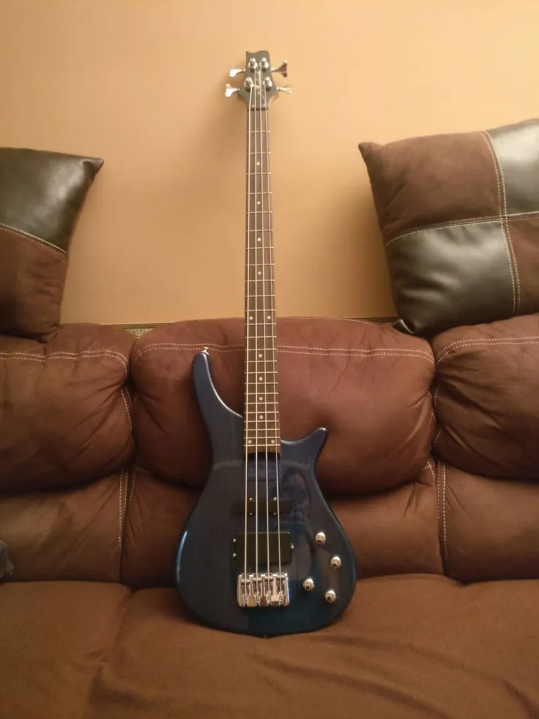 Bass Guitar, With Amp And Accessories photo 1