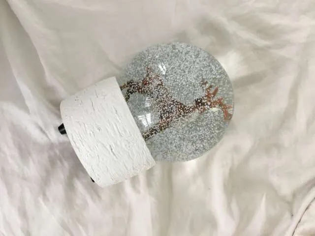 Snow Globe photo 1
