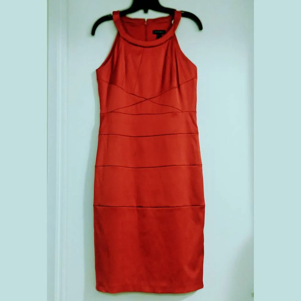 Le Chateau Bodycon Dress photo 1