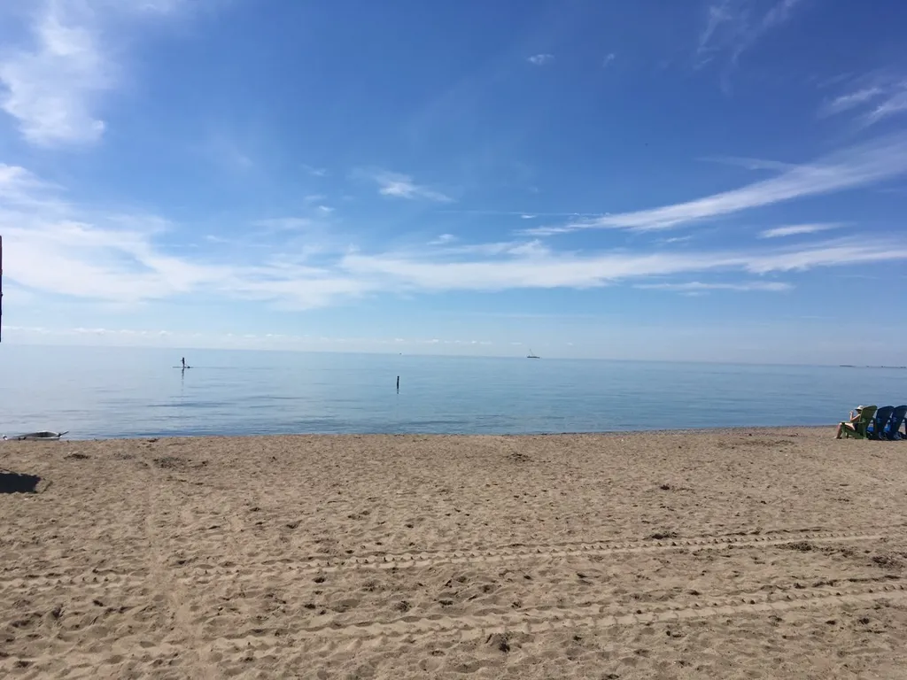 “I Don’t Want This, But Give Me All You Got” photo 1