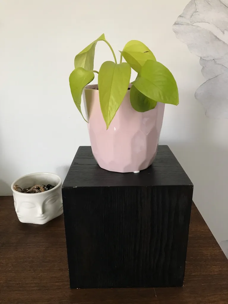 FREE Wooden display cube photo 1