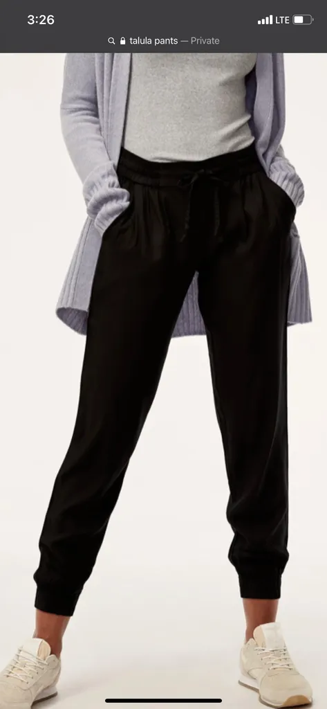 Aritzia Los Feliz Pants photo 1