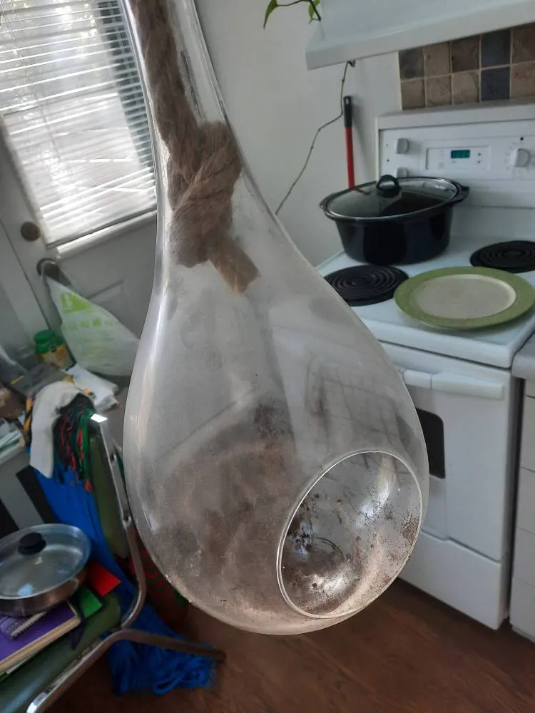 Glass Drop Plant Holder photo 1