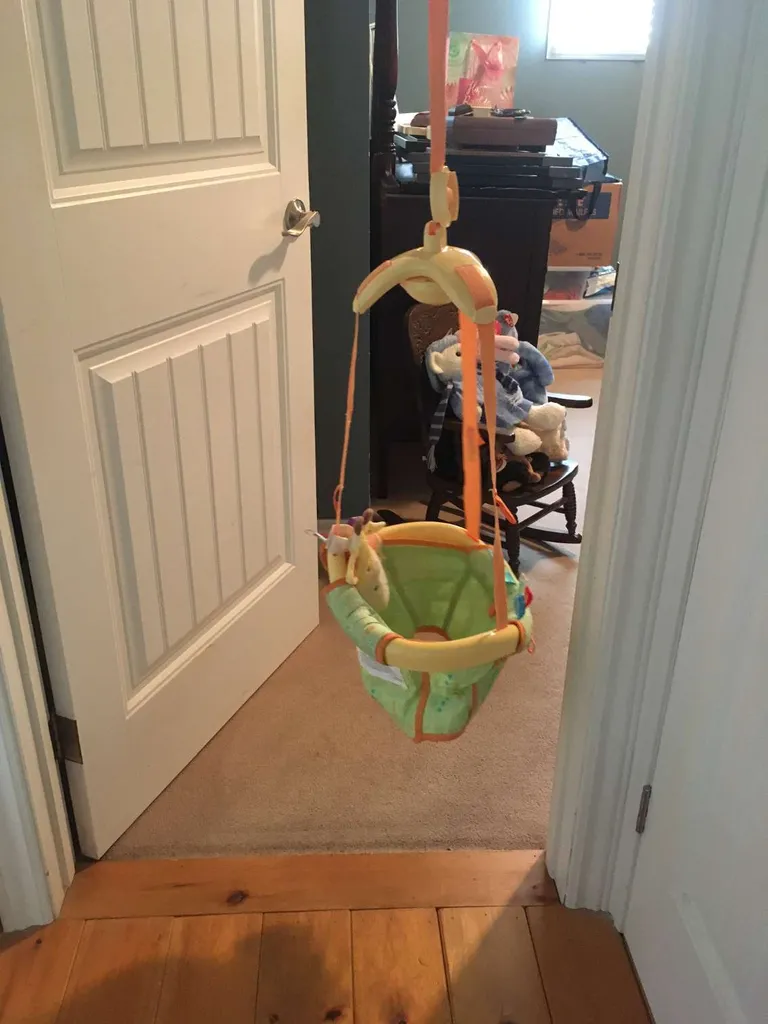 Taggies Doorway Bouncer photo 1