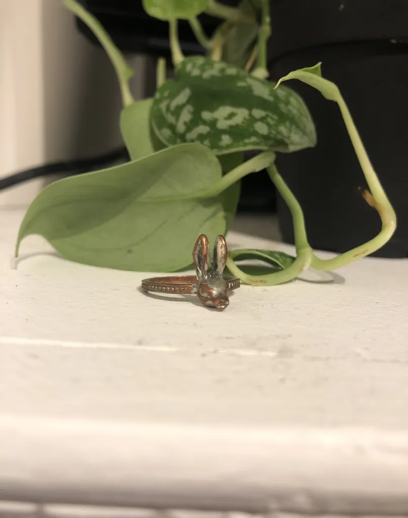 Rabbit Ring photo 1