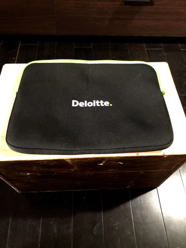 Laptop Sleeve photo 1