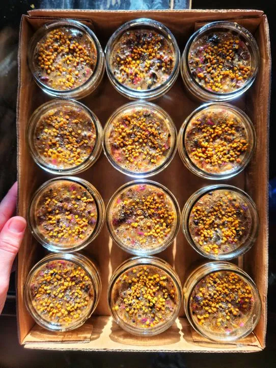 =Herbal Infused Faery Honeys= photo 1