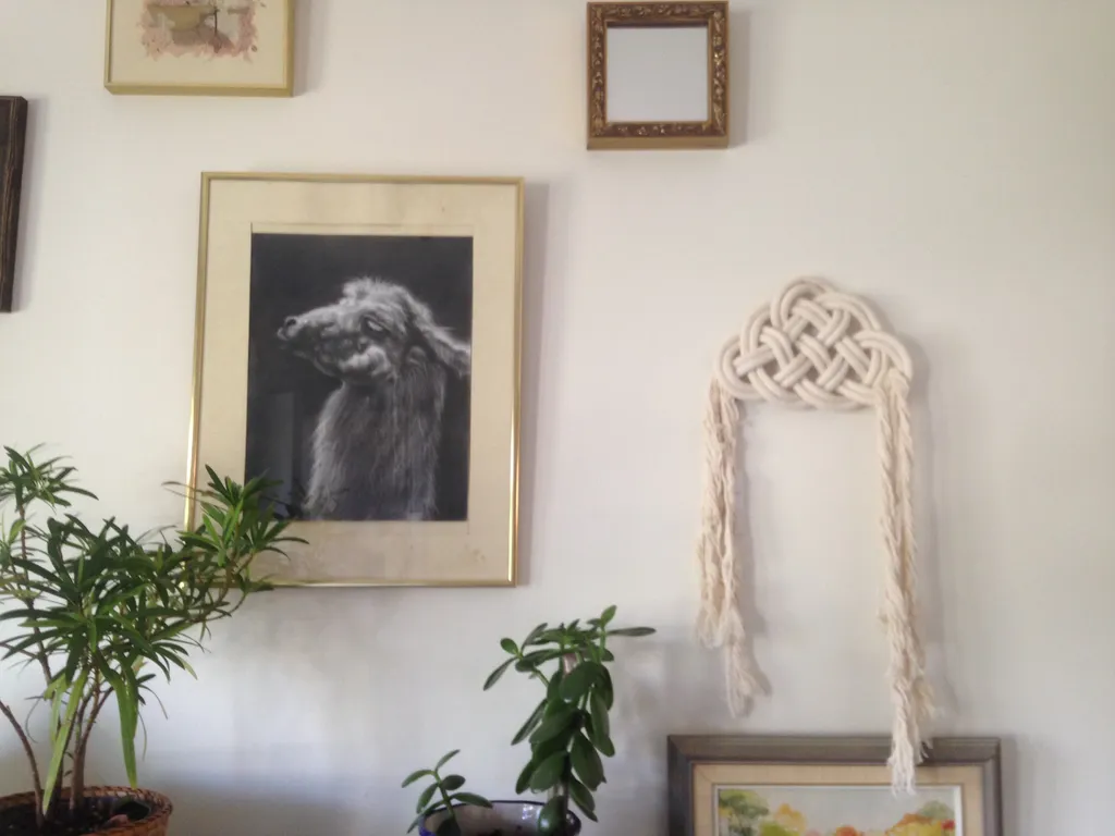 Knot Macrame Wall Hanging photo 1