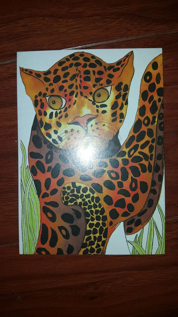 Endangered Species Postcard from Mexico -- Jaguar, Puma, or T... photo 1
