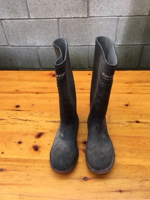 Rubber Boots (Size 10) photo 1