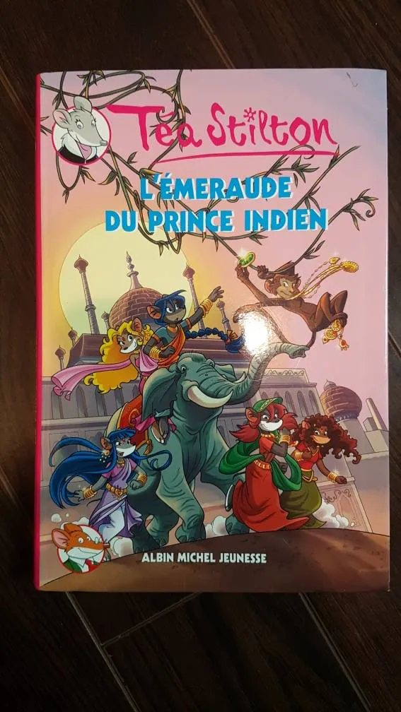 Livre Téa Stilton En Français photo 1