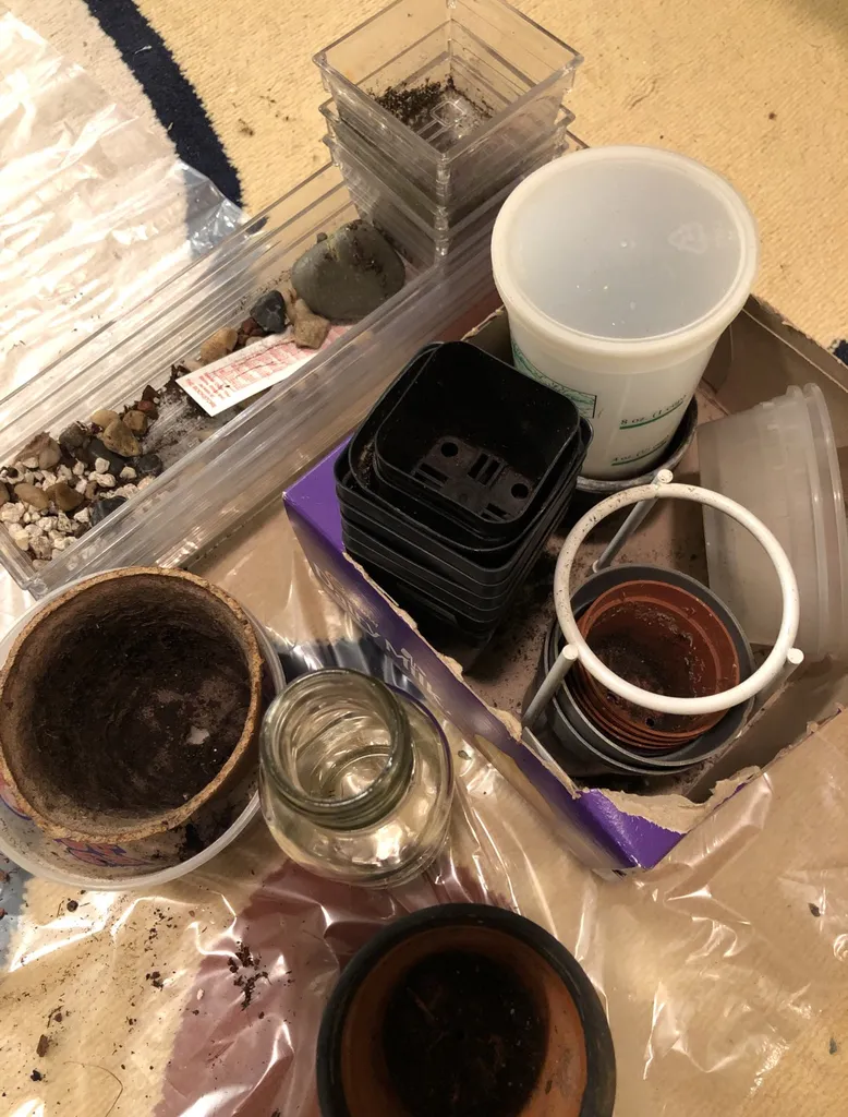 small plant pots photo 1