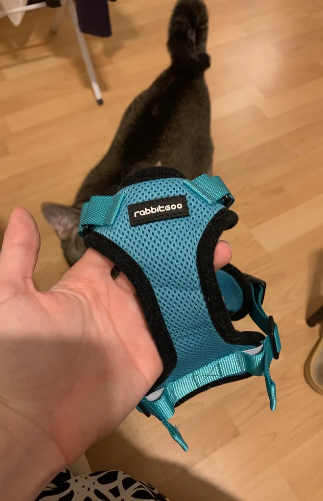 Teal Cat Harness Size S photo 1