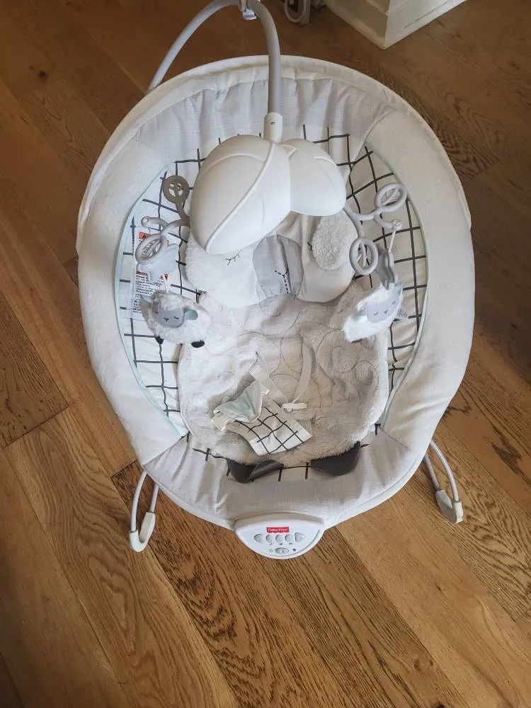 Baby Bouncer photo 1