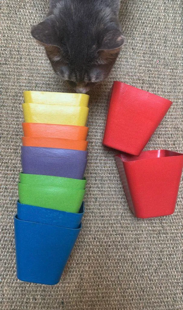 🌈 colourful pots for plants (smaller size) photo 1