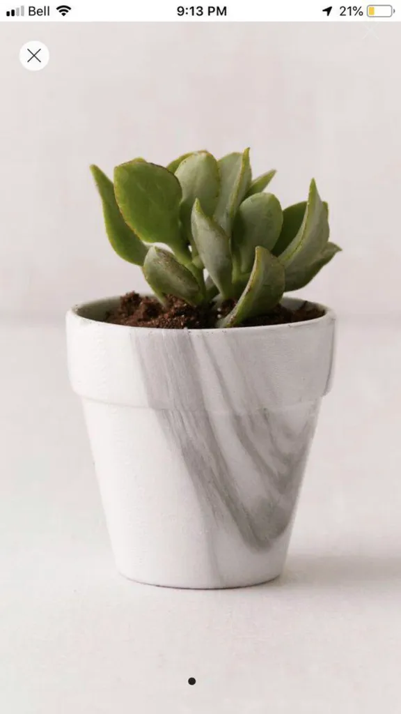 BNWT Urban Outfitters Marble Planter Pot photo 1