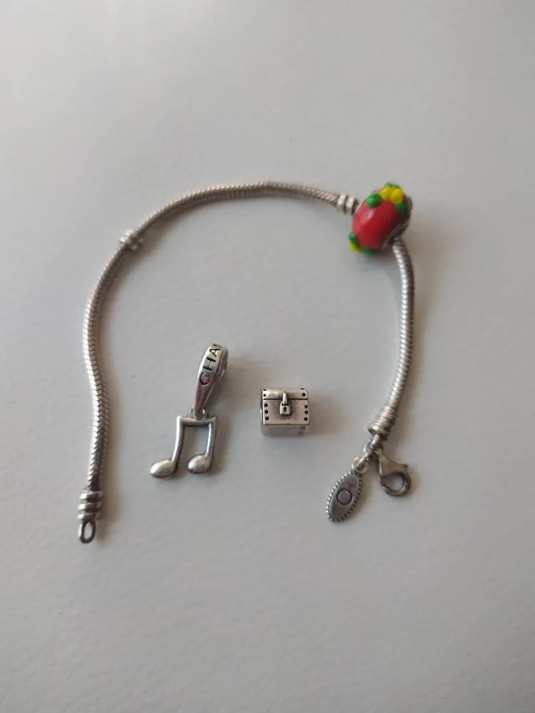 Pandora Bracelet And Charms photo 1