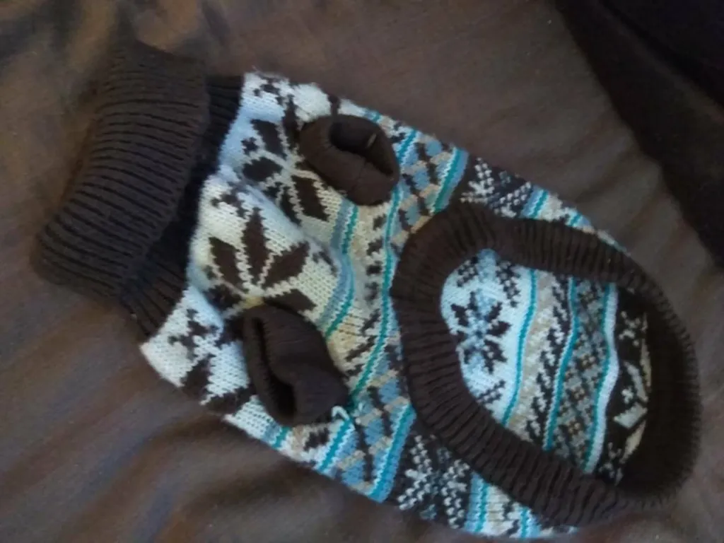 Dog Wool Jacket photo 1