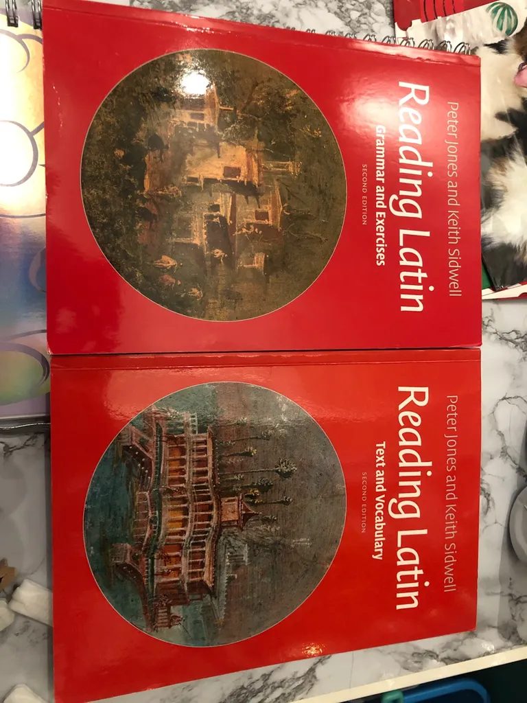 Reading Latin photo 1