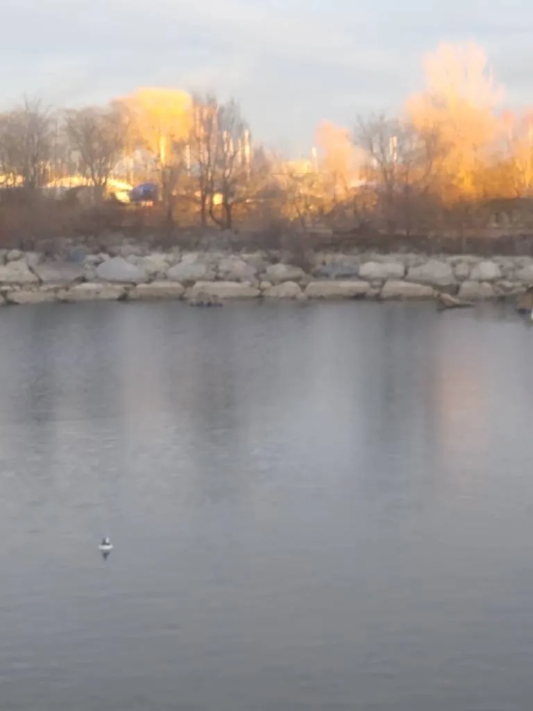 where Can I Spend My Btz In Downtown Toronto? *Current!* photo 1