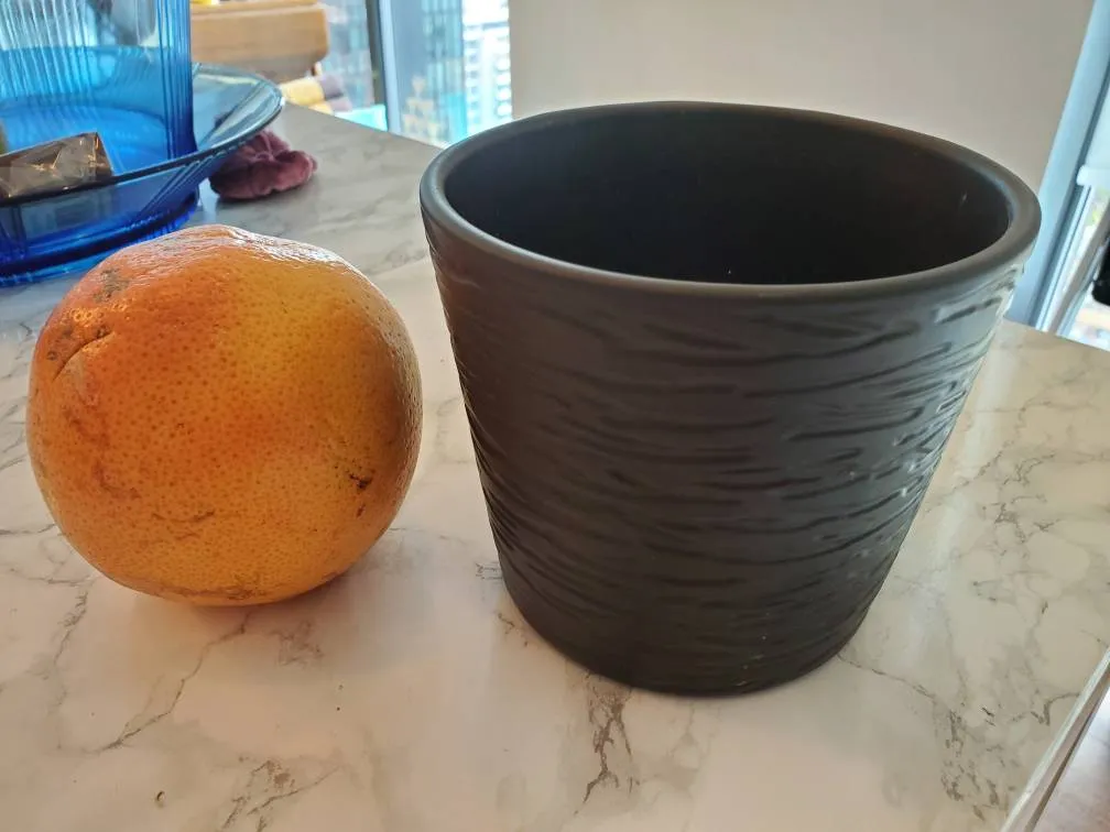 Pot For Plants- A Planter? photo 1