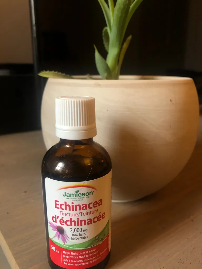 Echinacea Drops photo 1
