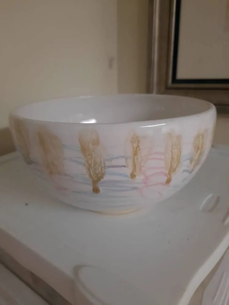 Big Ceramic Bowl photo 1